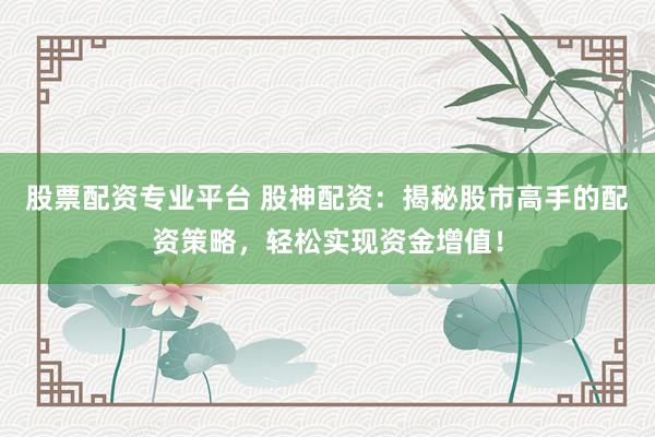 股票配资专业平台 股神配资：揭秘股市高手的配资策略，轻松实现资金增值！