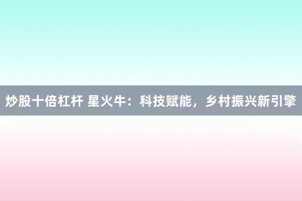 炒股十倍杠杆 星火牛：科技赋能，乡村振兴新引擎