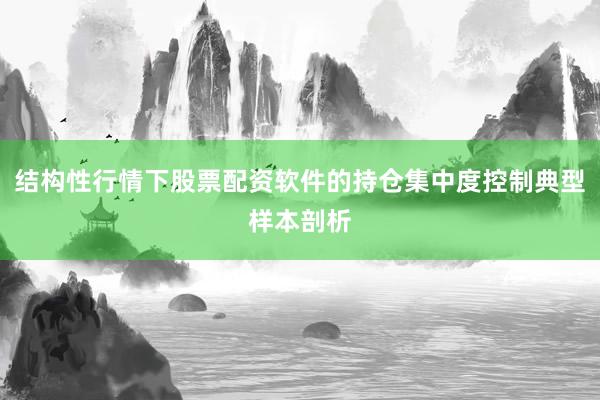 结构性行情下股票配资软件的持仓集中度控制典型样本剖析