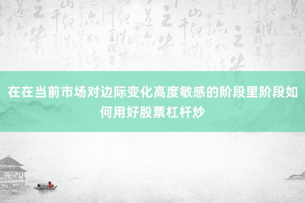 在在当前市场对边际变化高度敏感的阶段里阶段如何用好股票杠杆炒