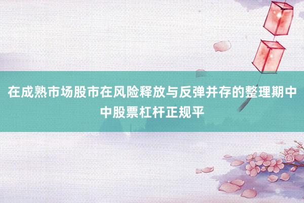 在成熟市场股市在风险释放与反弹并存的整理期中中股票杠杆正规平