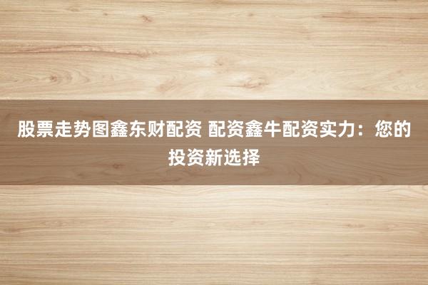 股票走势图鑫东财配资 配资鑫牛配资实力：您的投资新选择